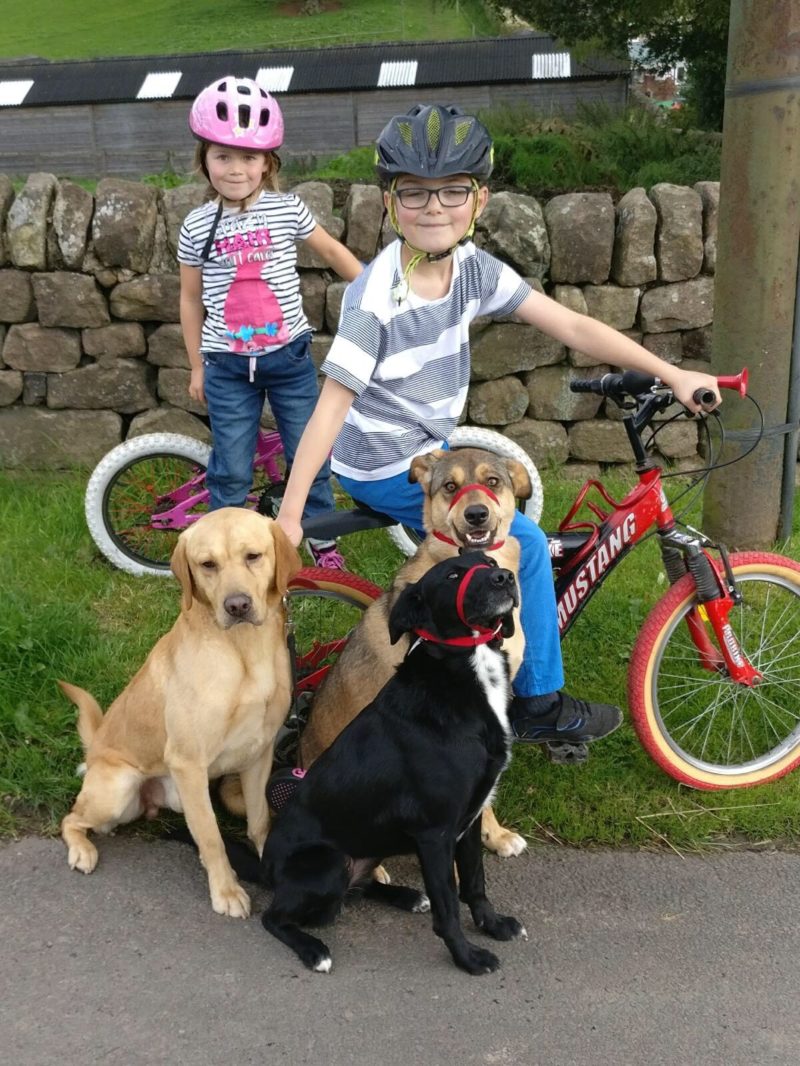 martyn family and pets