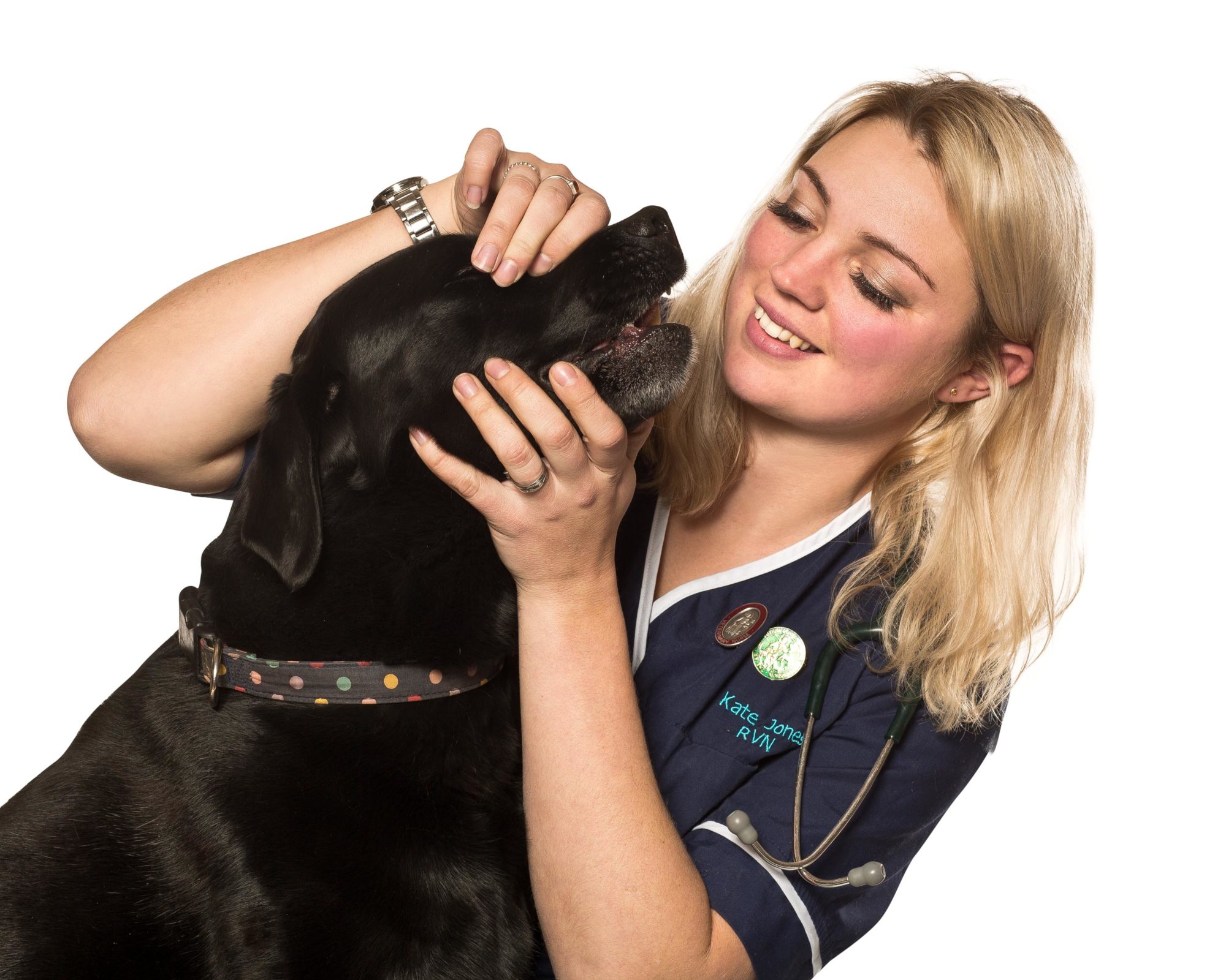 What does a Veterinary Nurse do and how do I become one?